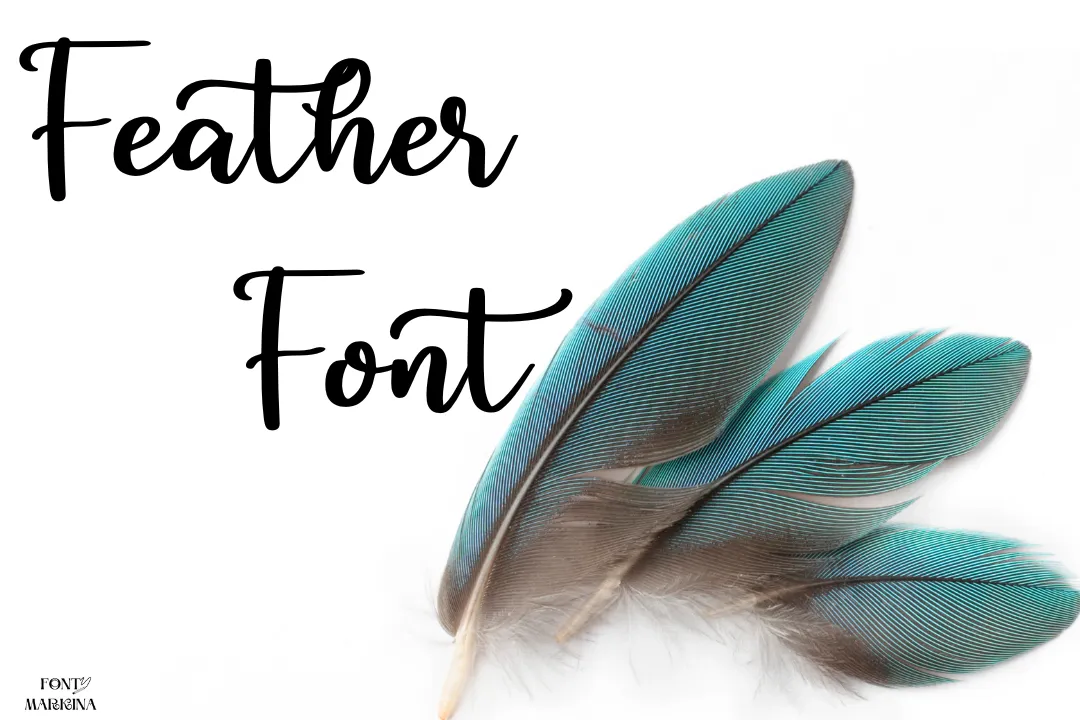Feather Font Free Download